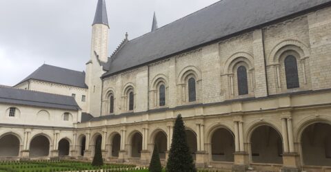 Diagnostic à l’Abbaye de Fontevraud - 20240515_114144